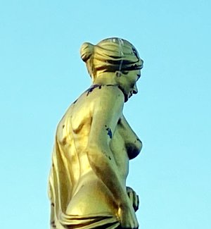 05fc7402-7970-4556-a0b0-adf406562dd4.jpg