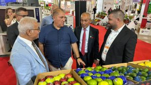 anfas-fresh-antalya-fuari-kapilarini-act-919556-273251.jpg