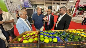 anfas-fresh-antalya-fuari-kapilarini-act-919557-273251.jpg