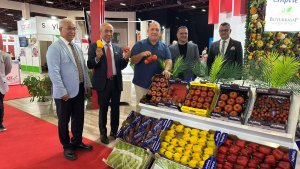 anfas-fresh-antalya-fuari-kapilarini-act-919558-273251.jpg