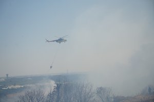 aw504238-05.jpg