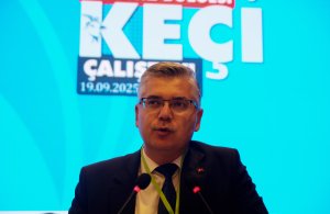 candir-antalyada-keci-varligimizin-yar-920797-273644.jpg
