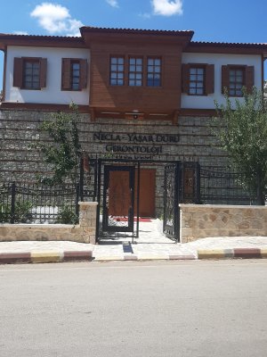 ibradi1.jpg