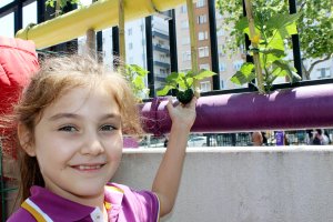 img-8055.jpg