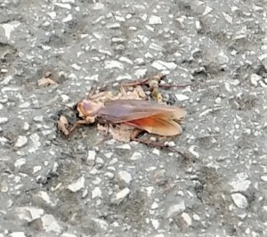 img_20190902_095533.jpg