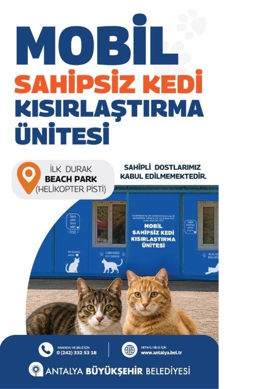 kedi-banner-1080x1920-reklamno-riln00152590-bk12227200-2-001.jpg