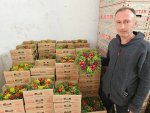 koylu-kadinlardan-avrupaya-1-milyon-noe-982363-291666.jpg