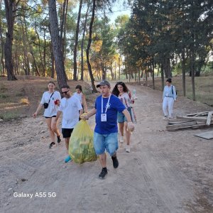p1.jpg