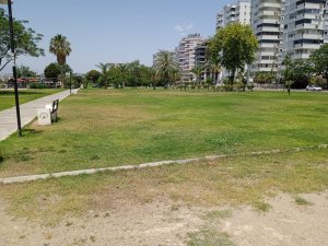 park.jpeg