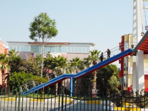 sam_1740.jpg