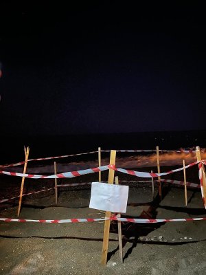 tosbaga4.jpg