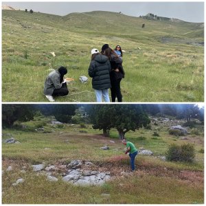 yayla.jpg