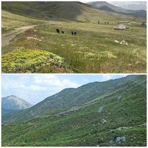 yayla2.jpg