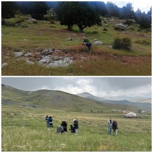 yayla3.jpg